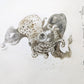 Intaglio Print | Drypoint | Squid