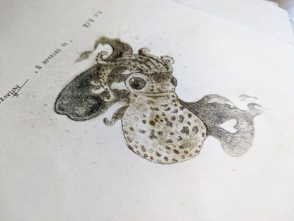 Intaglio Print | Drypoint | Squid