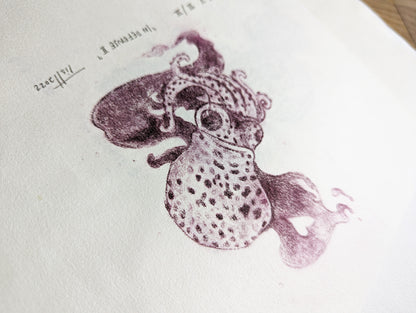 Intaglio Print | Drypoint | Squid